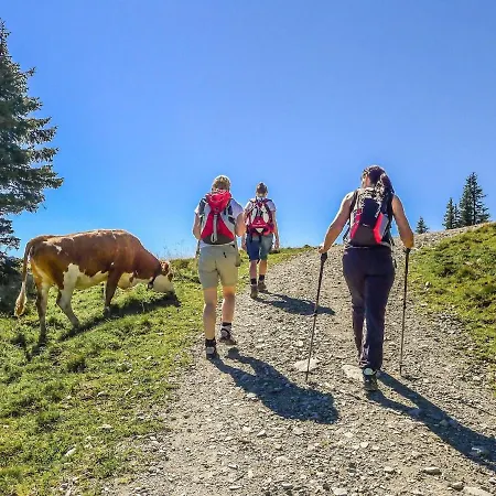 In Brixen Near Wilder Kaiser Gondola